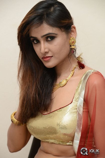 Sony-Charishta-at-Seenugadi-Love-Story-Movie-Audio-Launch